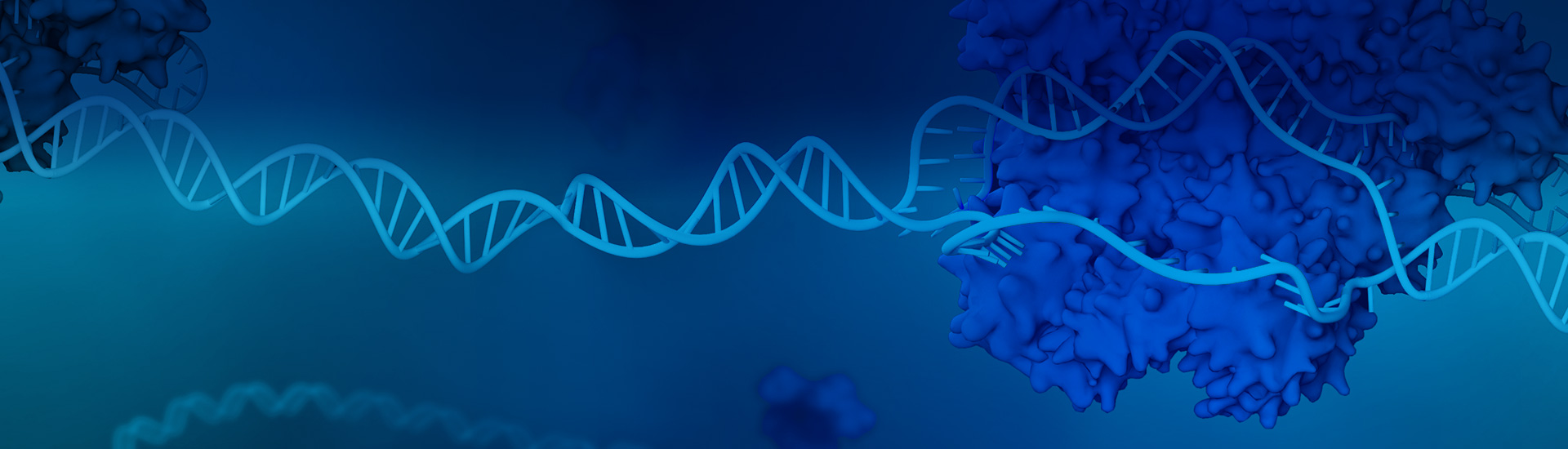 qPCR Probes and Oligo Primers