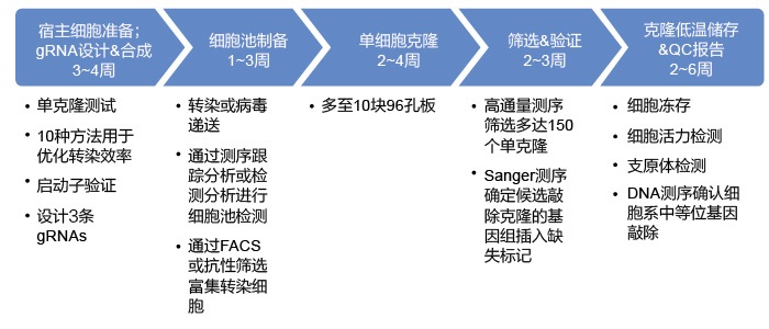 GenCRISPR™工作流程