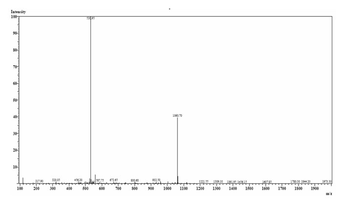 amyloid peptide