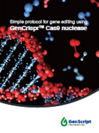 Cas9 enzymes