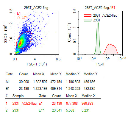 Anti-Flag  antibody to detect ACE2-Flag