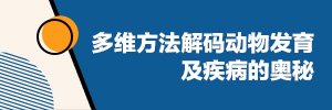 多维方法解码动物发育及疾病的奥秘