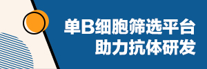 单B细胞筛选平台助力抗体研发-凯发一触即发