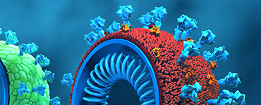 Antigen Identification &  Selection