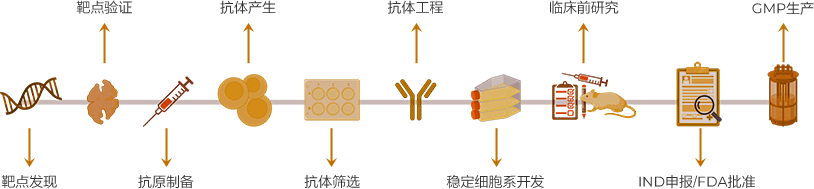 Antibody Drug Discovery