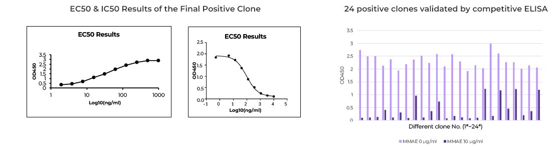 Anti-Idiotypic Antibody Application