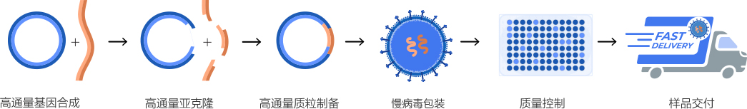 HTP Lentiviral Vector Packaging Workflow