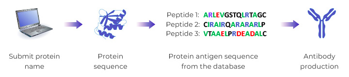 search the peptide antigen sequence