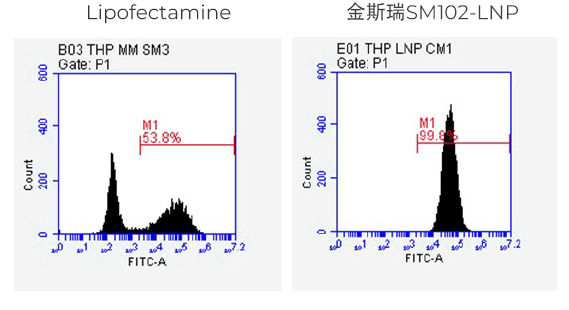 Delivery of eGFP mRNA into THP-1 Cells 