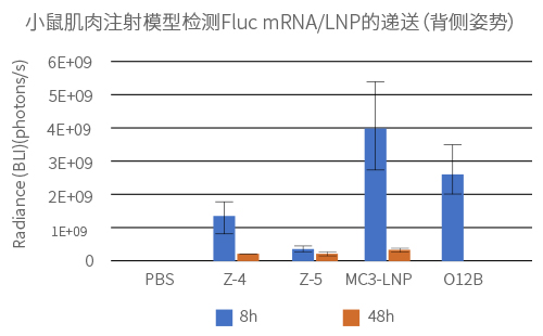 Delivery of Fluc mRNA-LNP into Mice via IM Injection, Dorsal Pose 