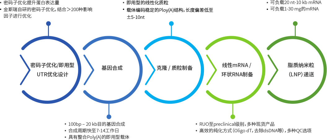 Manufacturing Workflow