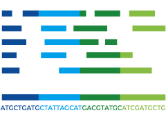 Next-Generation Sequencing (NGS)