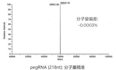 HPLC纯化的pegRNA (218nt)：分子量精准