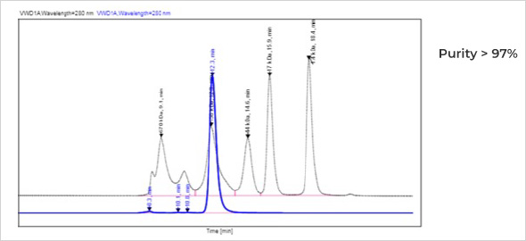 SDS-PAGE analysis 