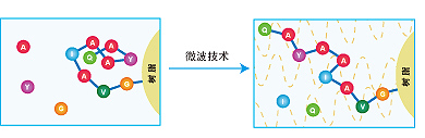 Microwave Technology